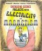 Energizing_science_projects_with_electricity_and_magnetism