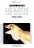 Lizards_and_dragons