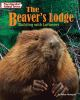 The_beaver_s_lodge