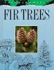 Fir_trees