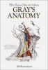 Anatomy__descriptive_and_surgical