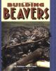 Building_beavers