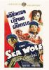 The_sea_wolf