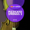 Pizzicato_Strings_2