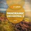 Panoramic_Orchestral_3