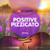 Positive_Pizzicato