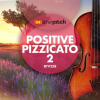 Positive_Pizzicato_2