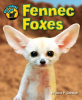 Fennec_Foxes