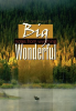Big_Wonderful