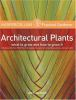 Architectural_plants