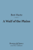 A_waif_of_the_plains