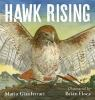 Hawk_rising