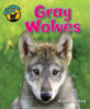 Gray_Wolves