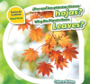 __Por_qu___las_plantas_tienen_hojas____Why_Do_Plants_Have_Leaves_