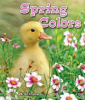 Spring_Colors