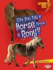 Can_you_tell_a_horse_from_a_pony_