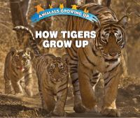 How_tigers_grow_up