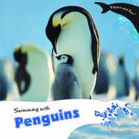 Swimming_with_penguins