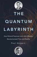 The_quantum_labyrinth