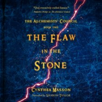 The_Flaw_in_the_Stone