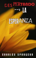 Despertando_La_Esperanza