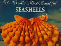 The_world_s_most_beautiful_seashells