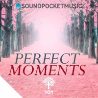 Perfect_Moments