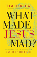 What_Made_Jesus_Mad_