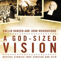 A_God-Sized_Vision