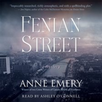 Fenian_Street