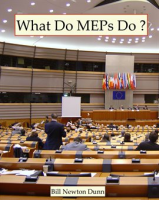 What_Do_MEPs_Do__