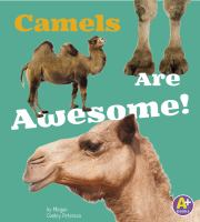 Camels_are_awesome_