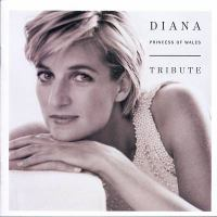 Diana__Princess_of_Wales_tribute