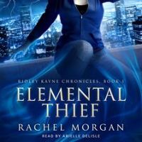 Elemental_Thief