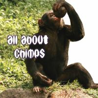 All_about_chimps