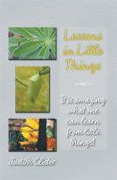 Lessons_in_Little_Things