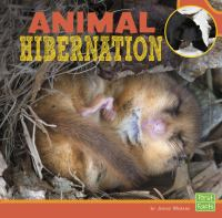 Animal_hibernation
