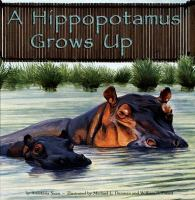 A_hippopotamus_grows_up
