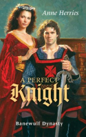 A_Perfect_Knight