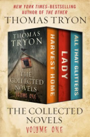 The_Collected_Novels_Volume_One