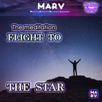 The_Meditation_Flight_to_the_Star