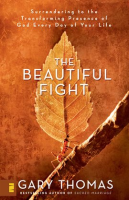 The_Beautiful_Fight