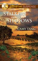 Stalker_in_the_shadows