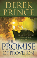 The_Promise_of_Provision