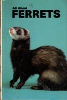 All_about_ferrets