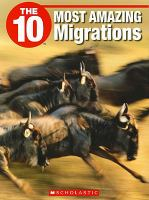 The_10_most_amazing_migrations