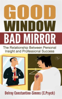 Good_Window_Bad_Mirror